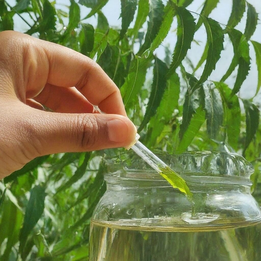 Neem Oil: A Natural Pest Control Solution 2 Gemini Generated Image o34tzso34tzso34t 1
