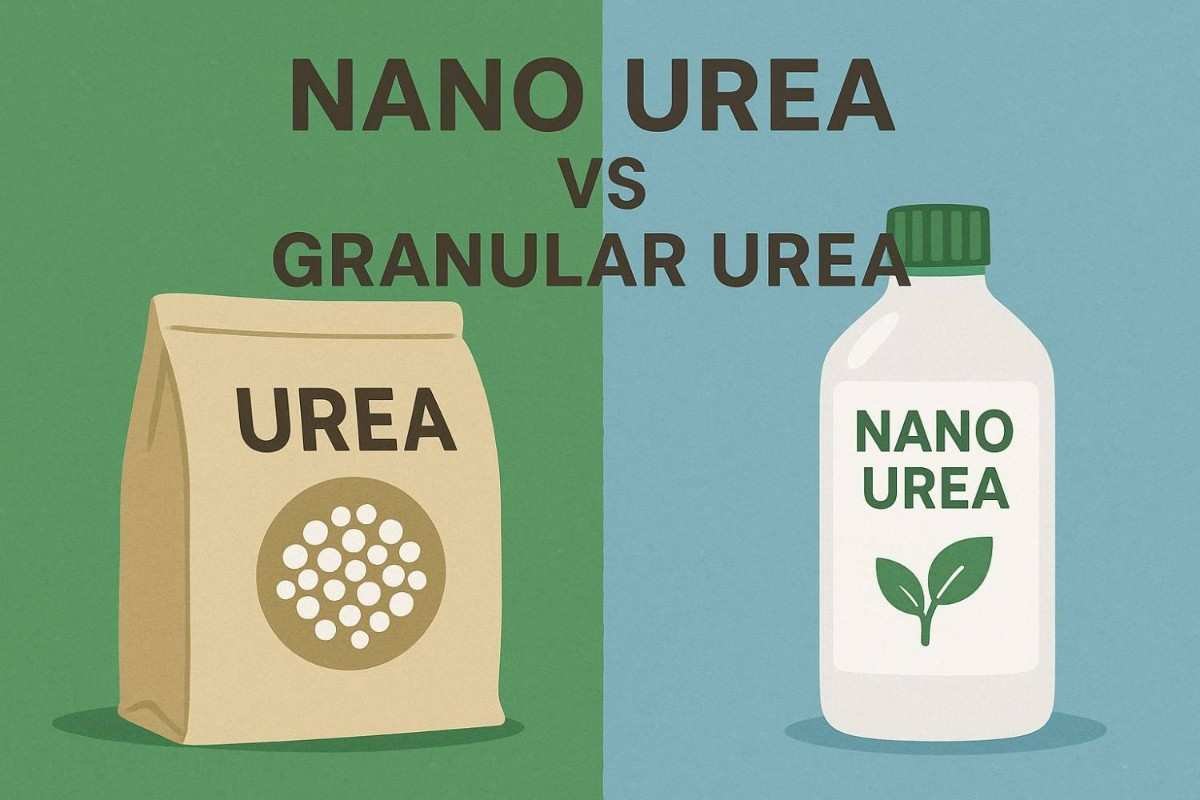 nano urea vs granular urea