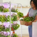 harvesting fresh produce