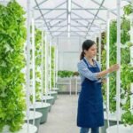 Vertical farming